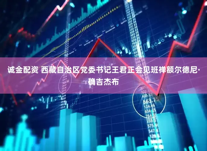 诚金配资 西藏自治区党委书记王君正会见班禅额尔德尼·确吉杰布